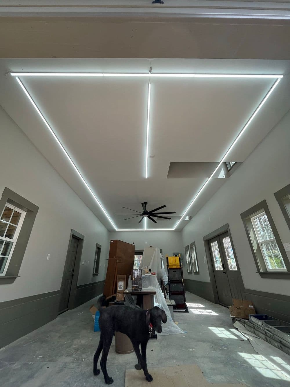 Modern interior with LED ceiling lights, a ceiling fan, and a dog in a partially finished room.